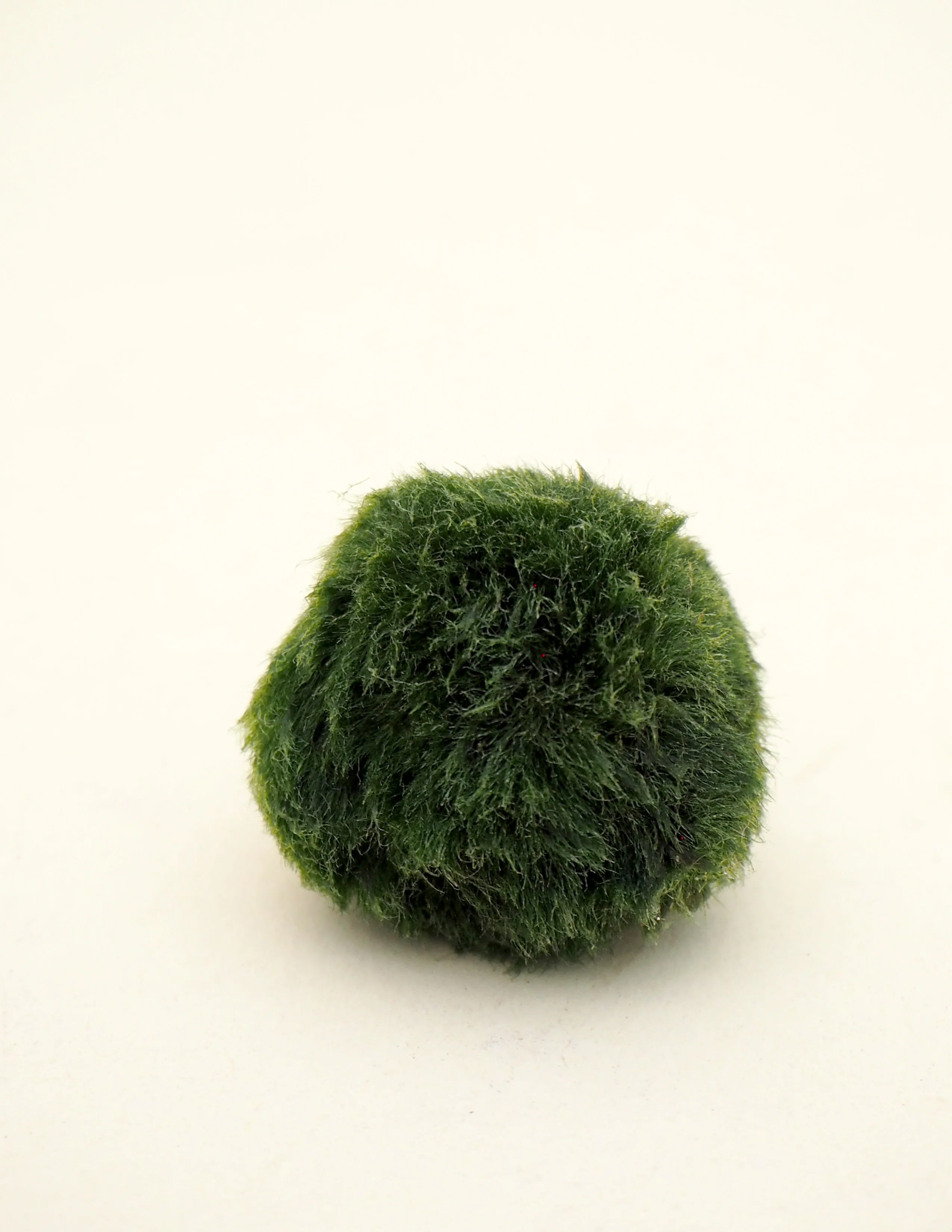 Miniaturebillede 5