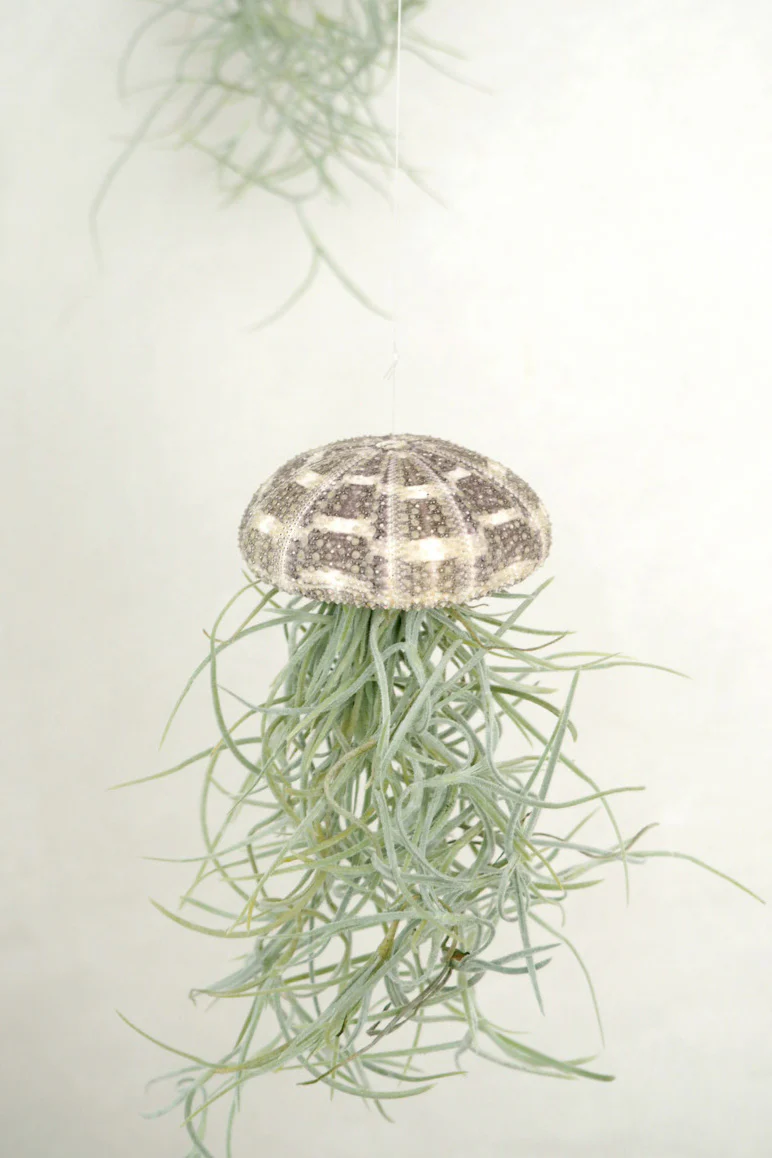 Miniaturebillede 4